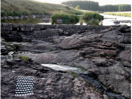 Suomu Forest rug