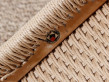 Paire de chaises scandinaves en teck model 71