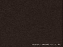 Leather Tango – 22 colours