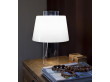 Modern Art Table lamp. 