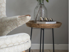 Ensemble de 3 oiseaux Aves