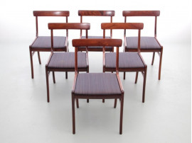 Mid-Century  modern scandinavian set of 6 chairs and 2 armchairs in Rio rosewood model Rungstelund by Ole Wanscher