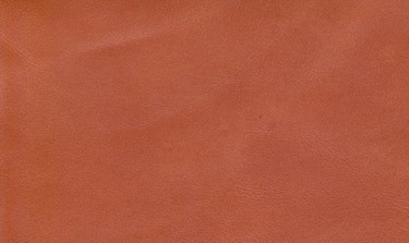 sil_0565_orange