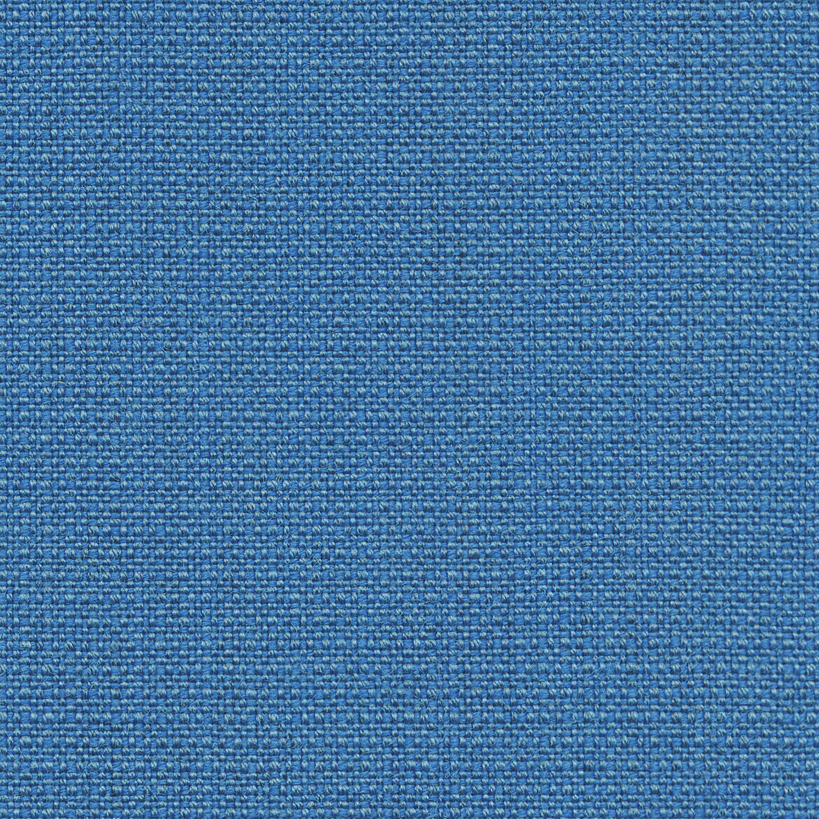 Crips_04601