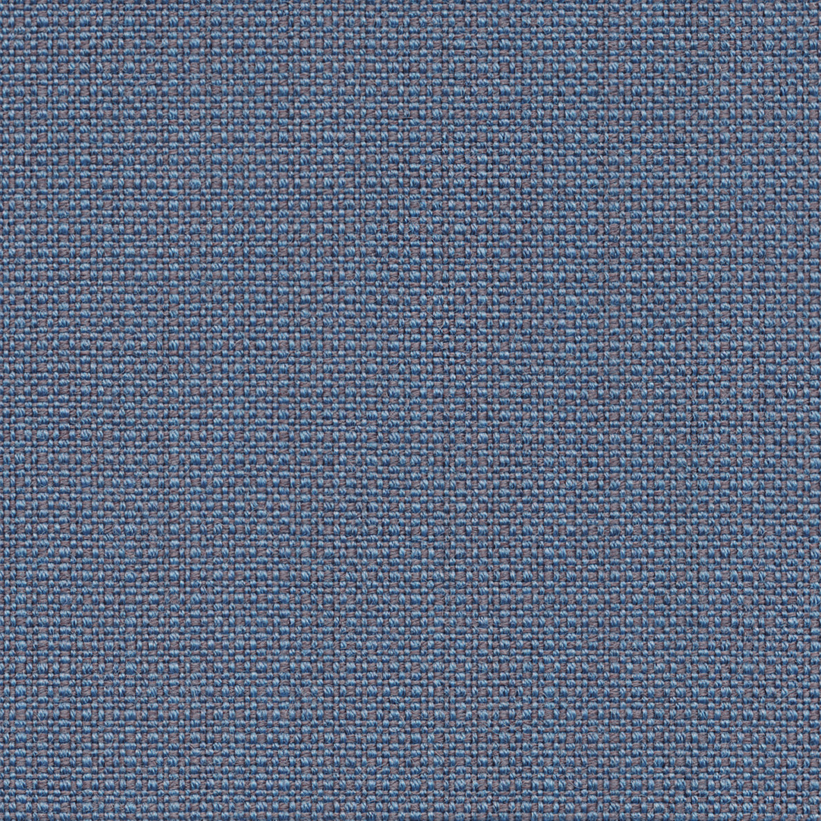 Crips_04604