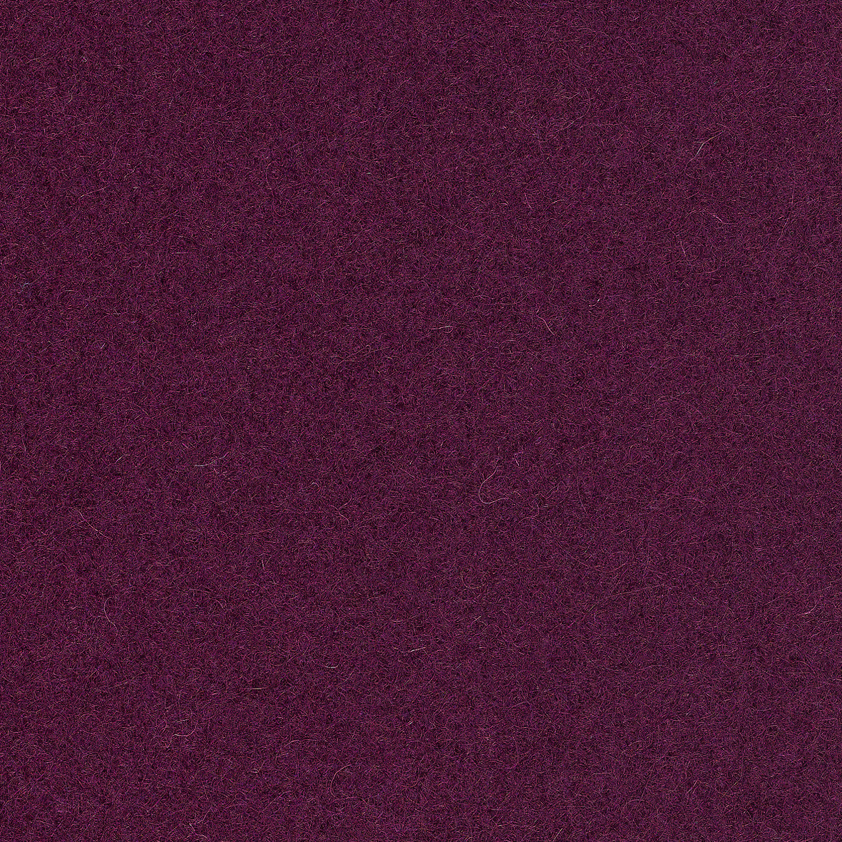 Europost2_64045