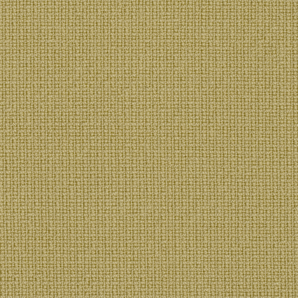 Fame_62068