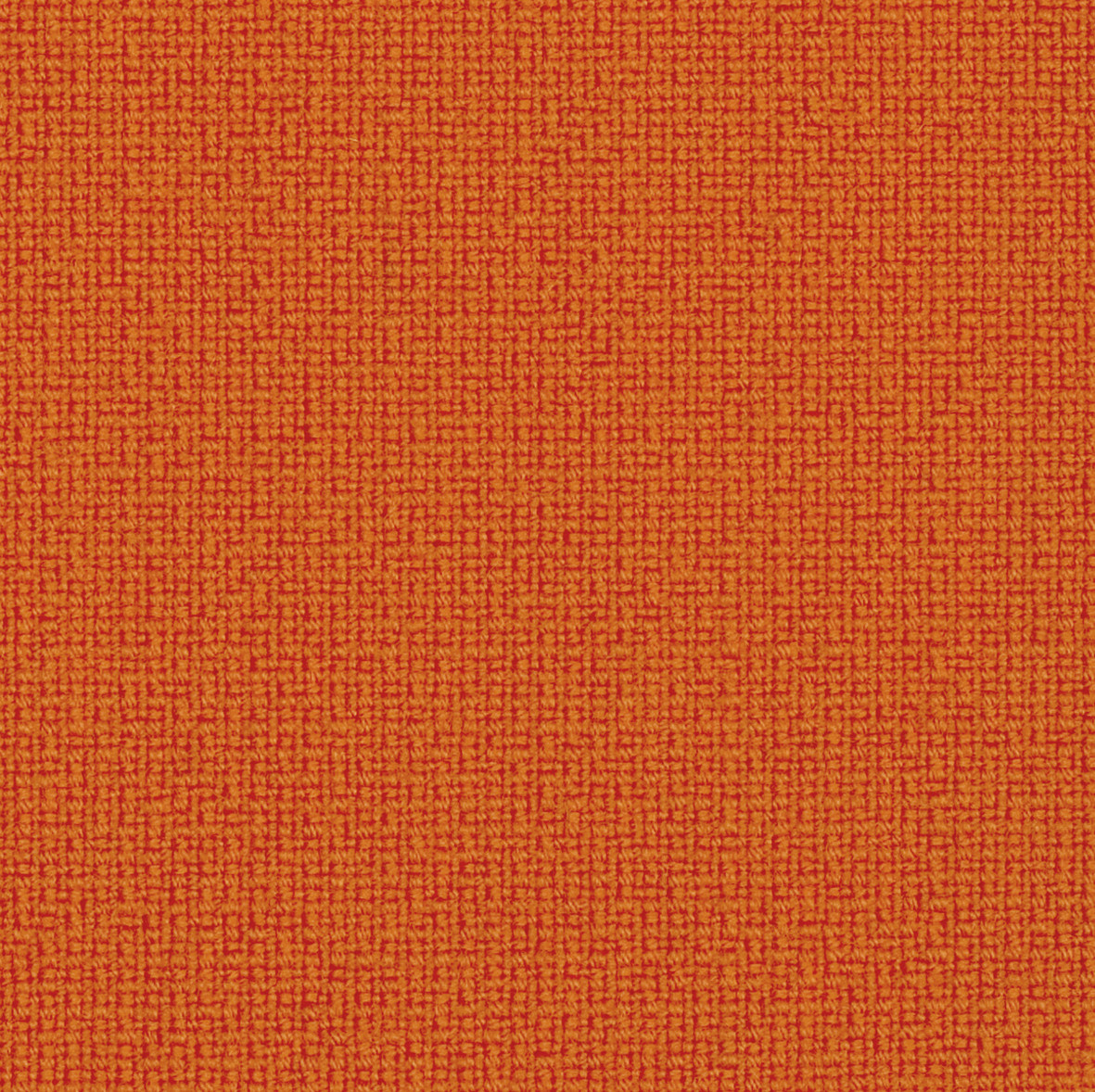 Fame_63016