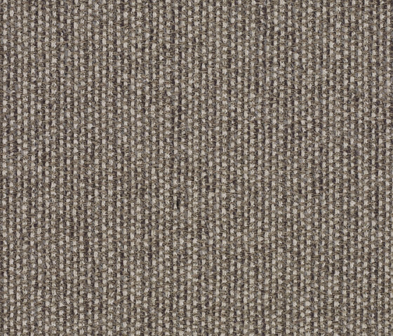 Savanna 242