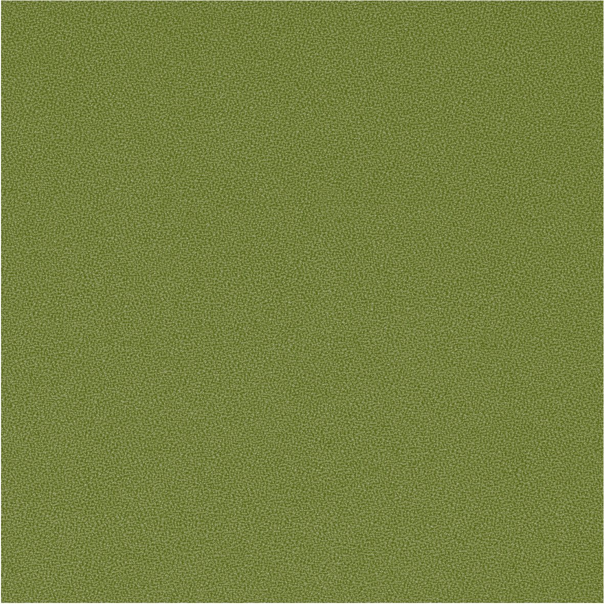 GajaC2C_68094