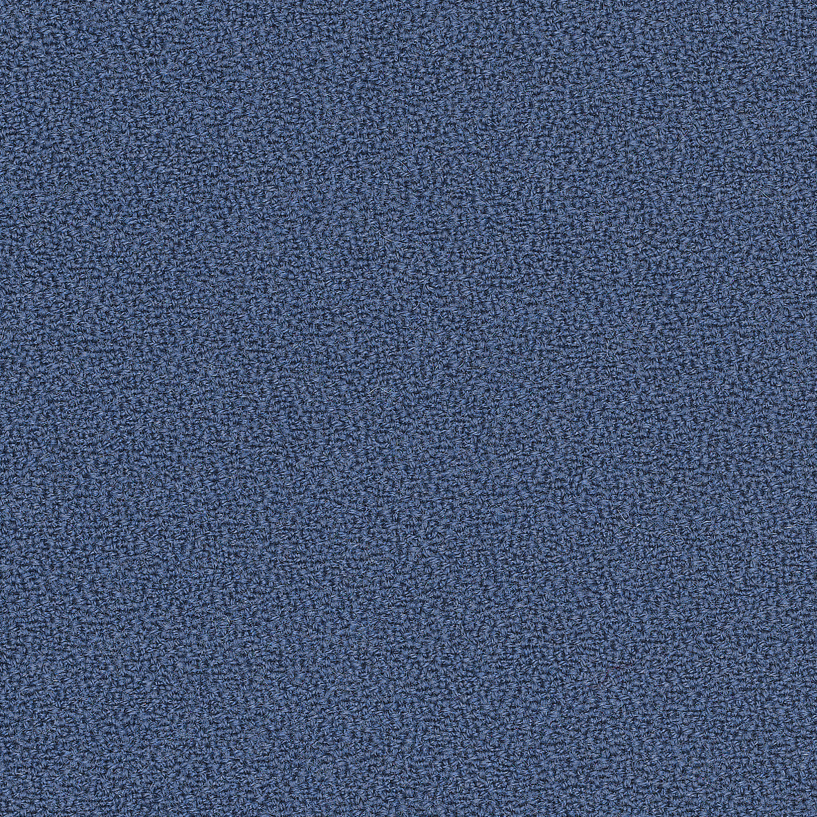 GajaC2C_66006