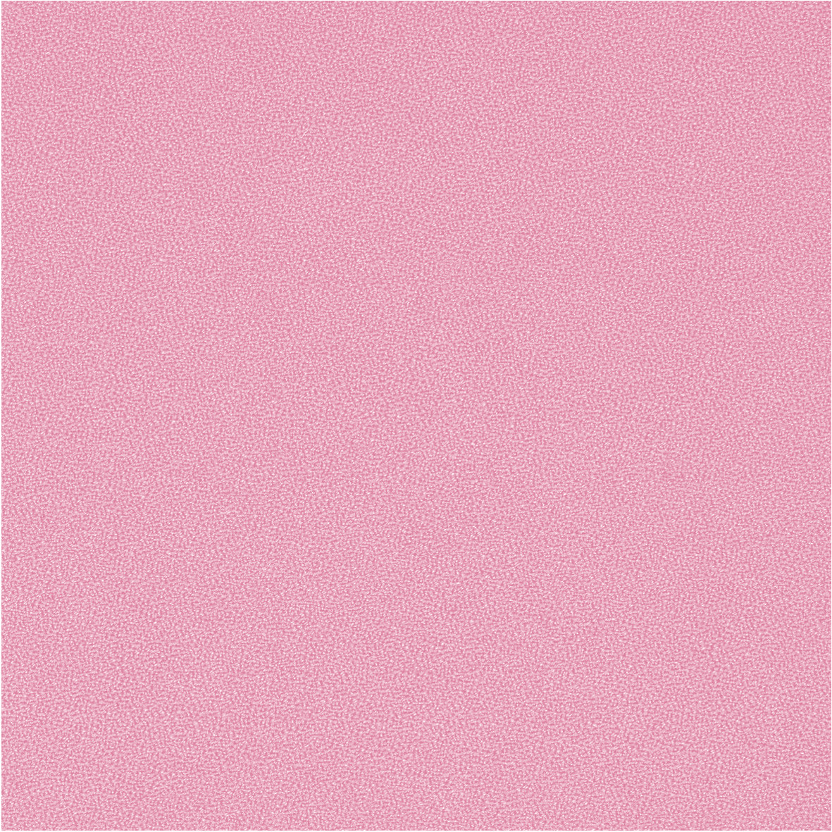 GajaC2C_64155