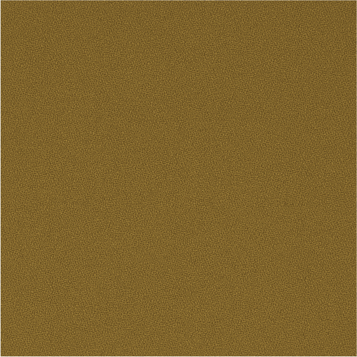 GajaC2C_62041