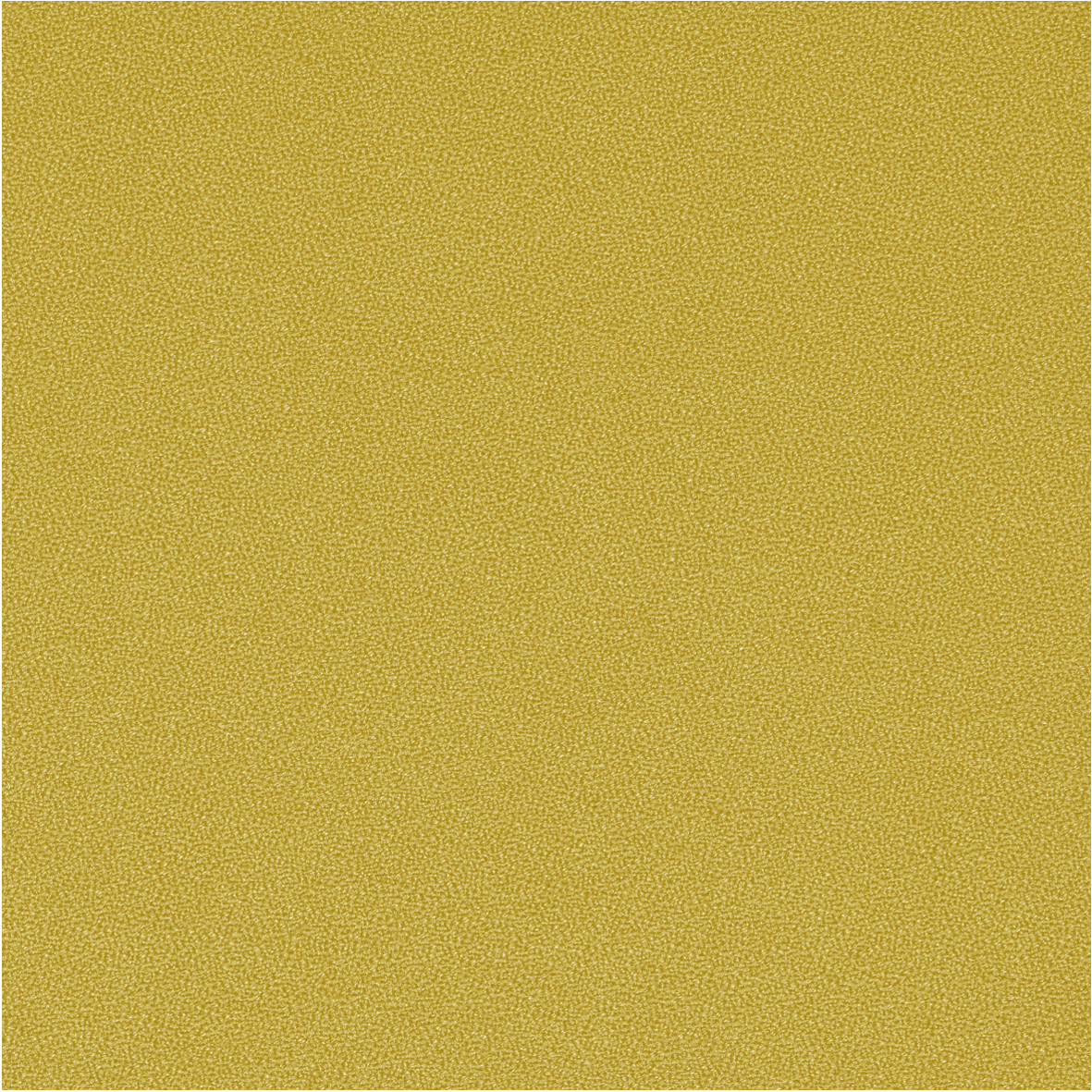 GajaC2C_62040