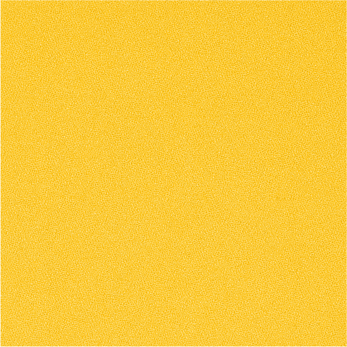GajaC2C_62039