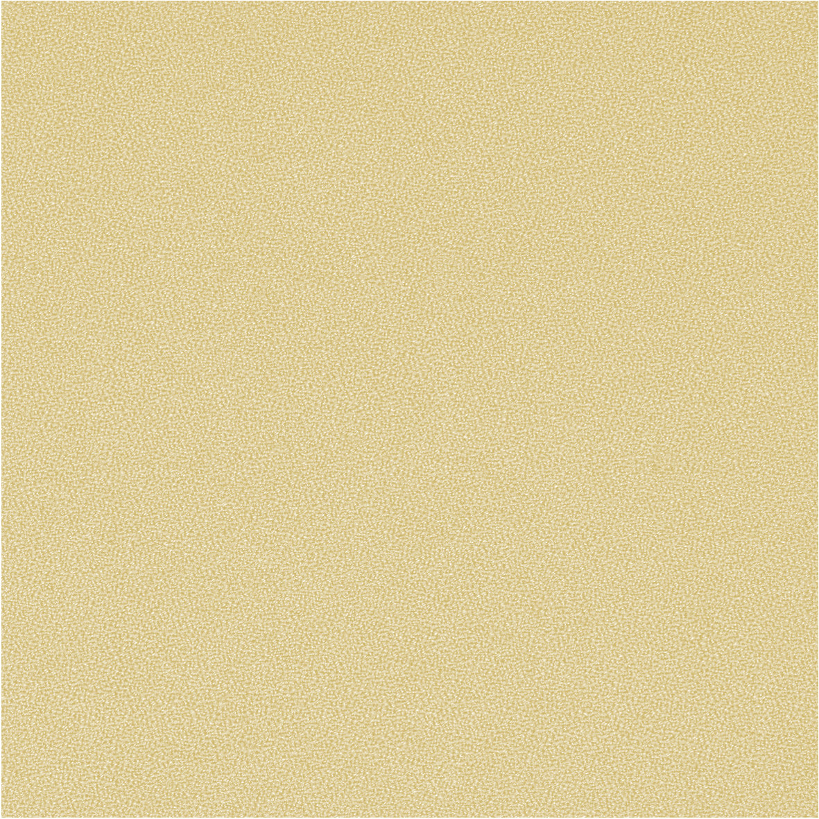 GajaC2C_62037