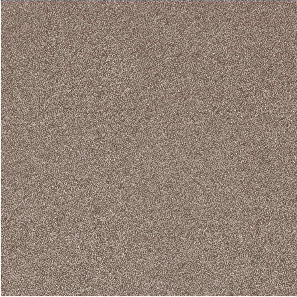GajaC2C_61112