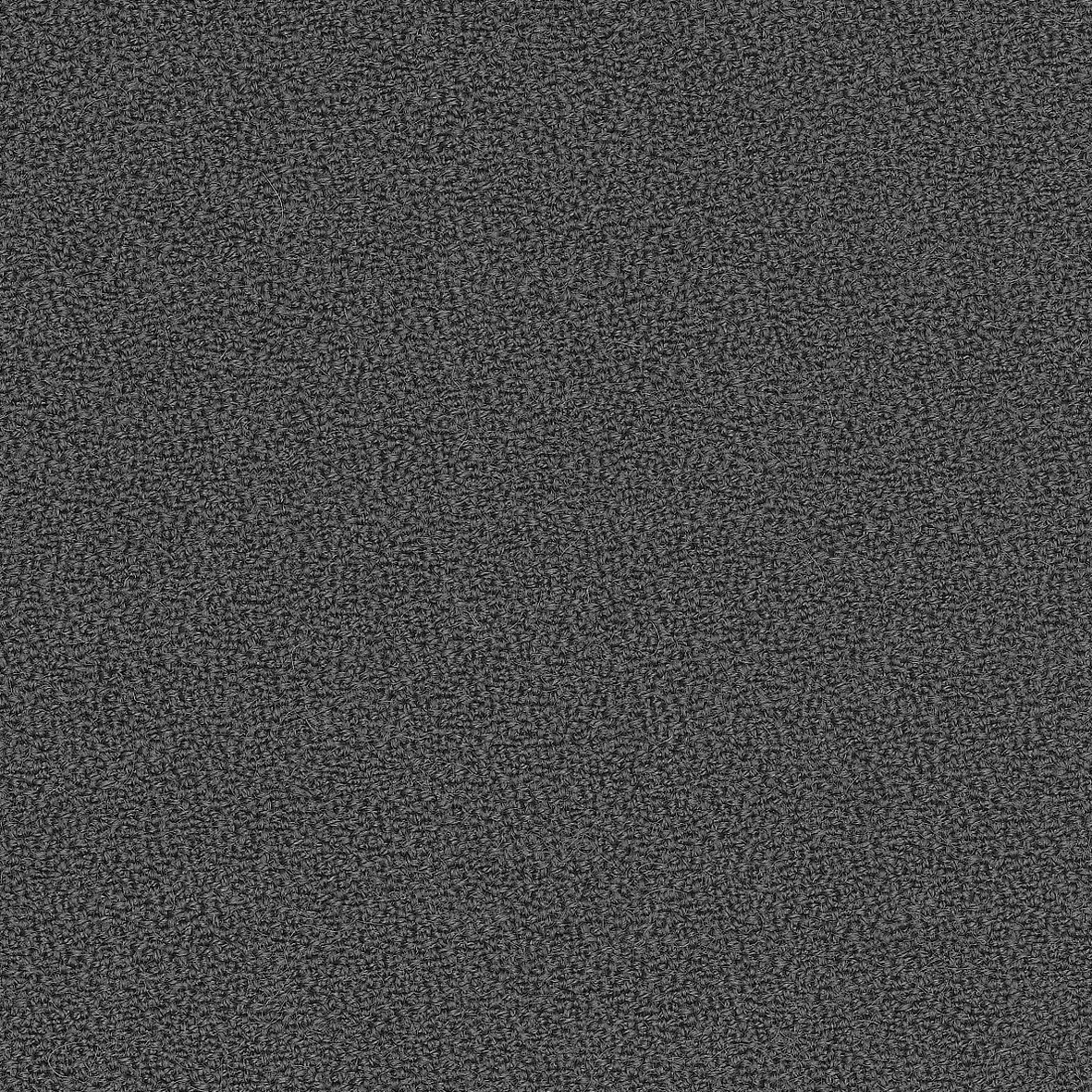 GajaC2C_60003