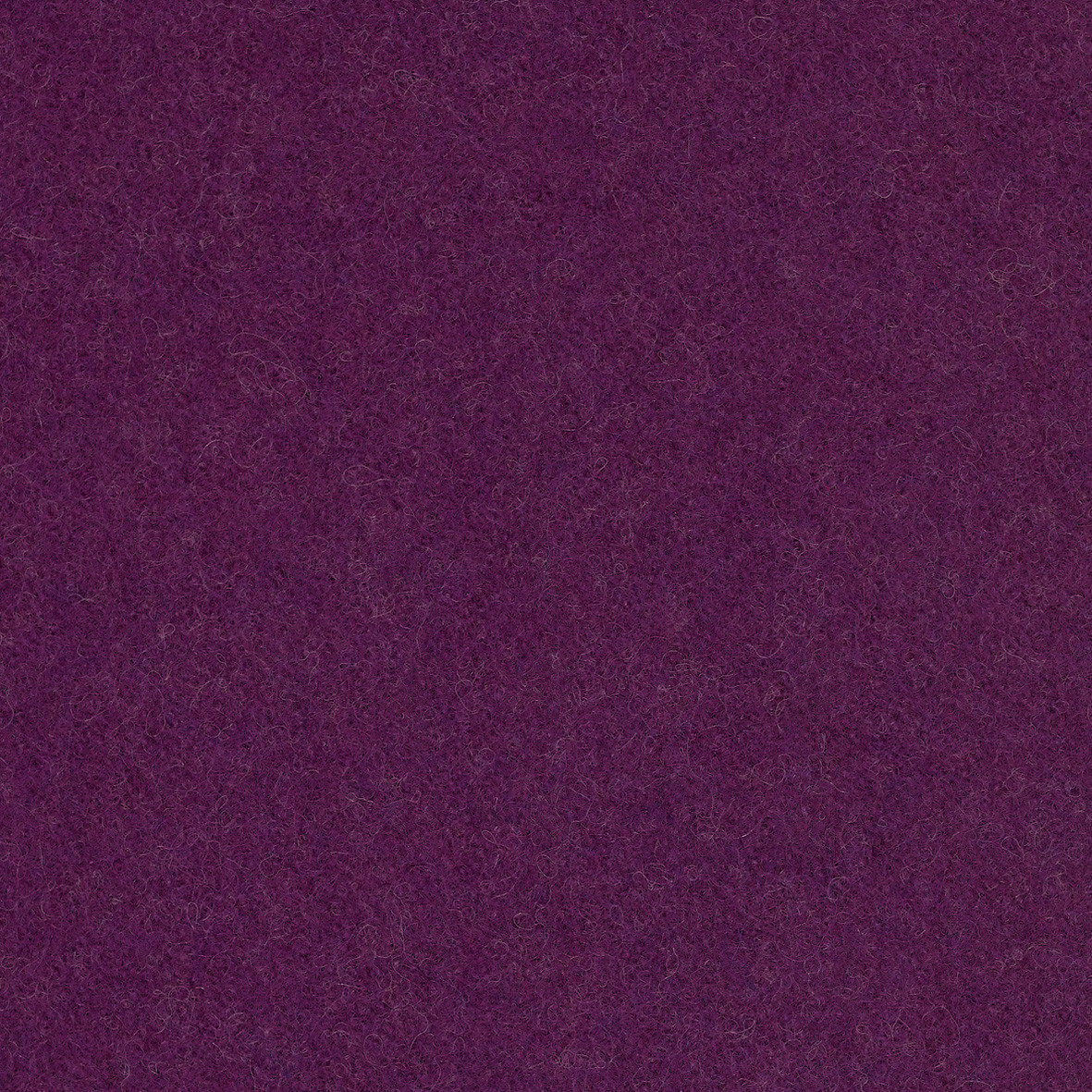 Luna2_04502
