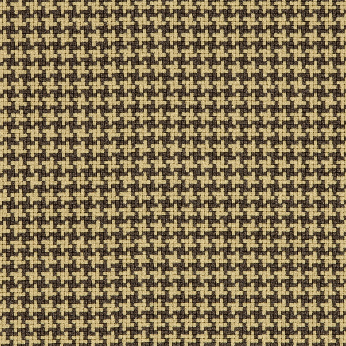 GoCouture_61142