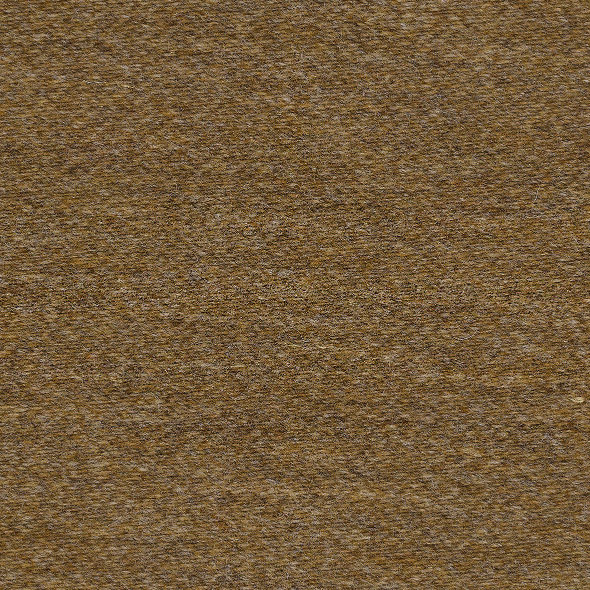 Savak_00003