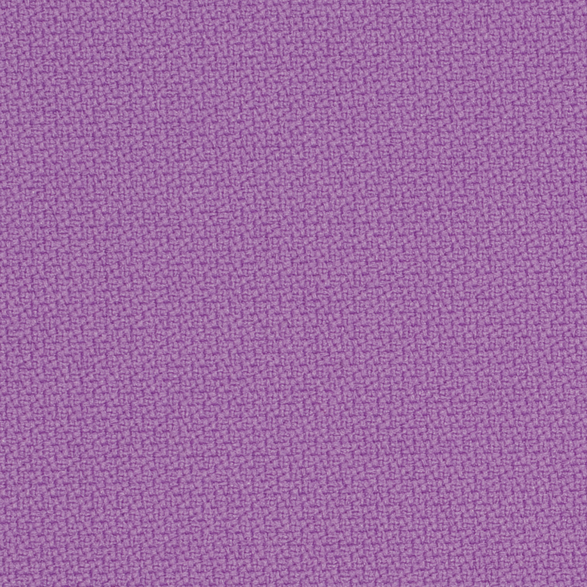 Step_65092