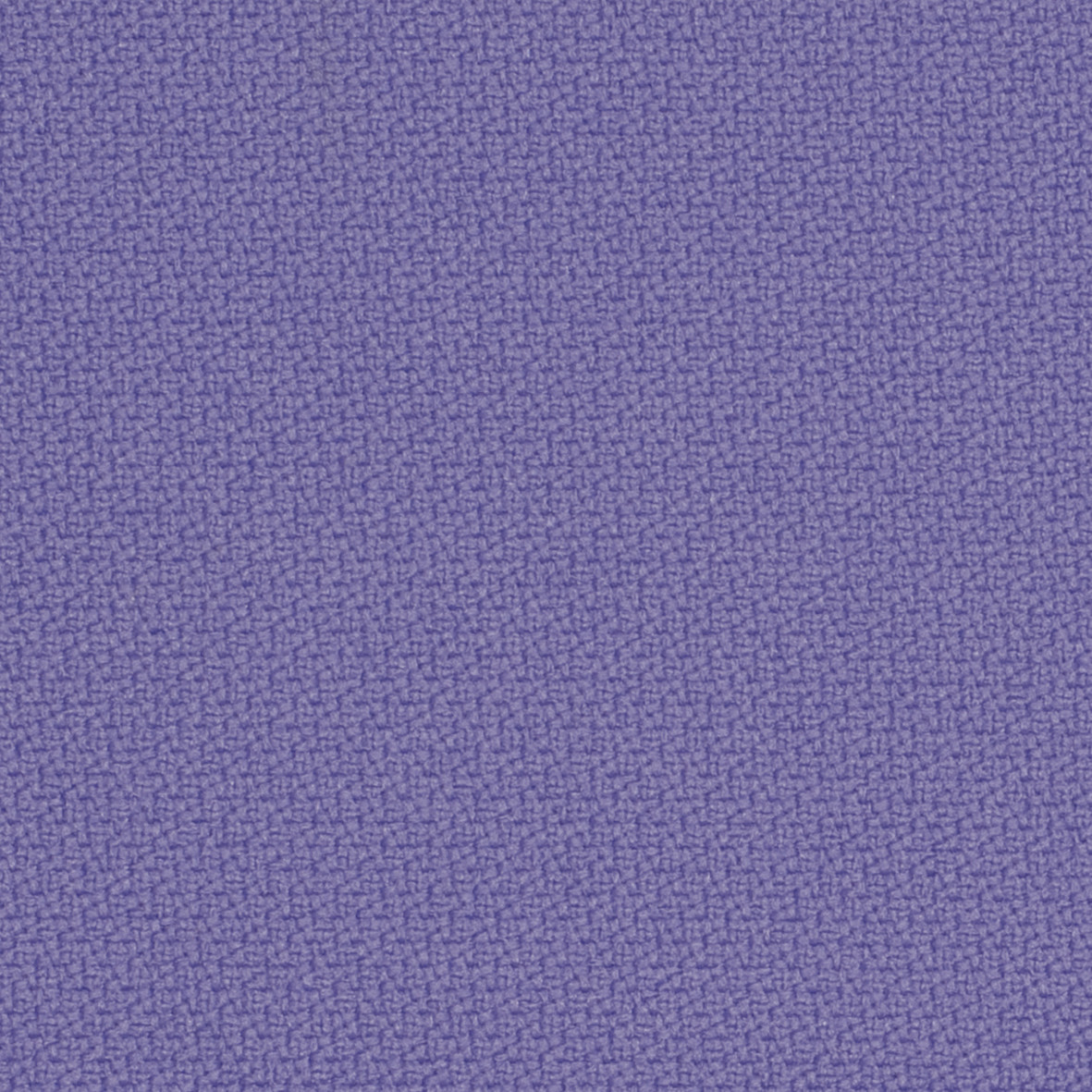 Step_65090