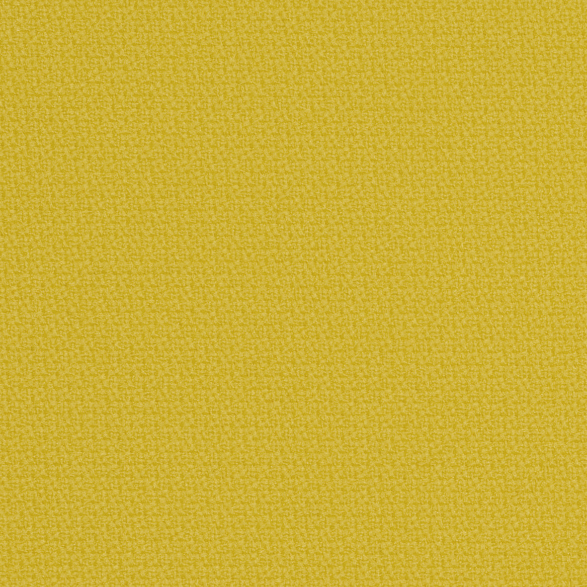 Step_62073