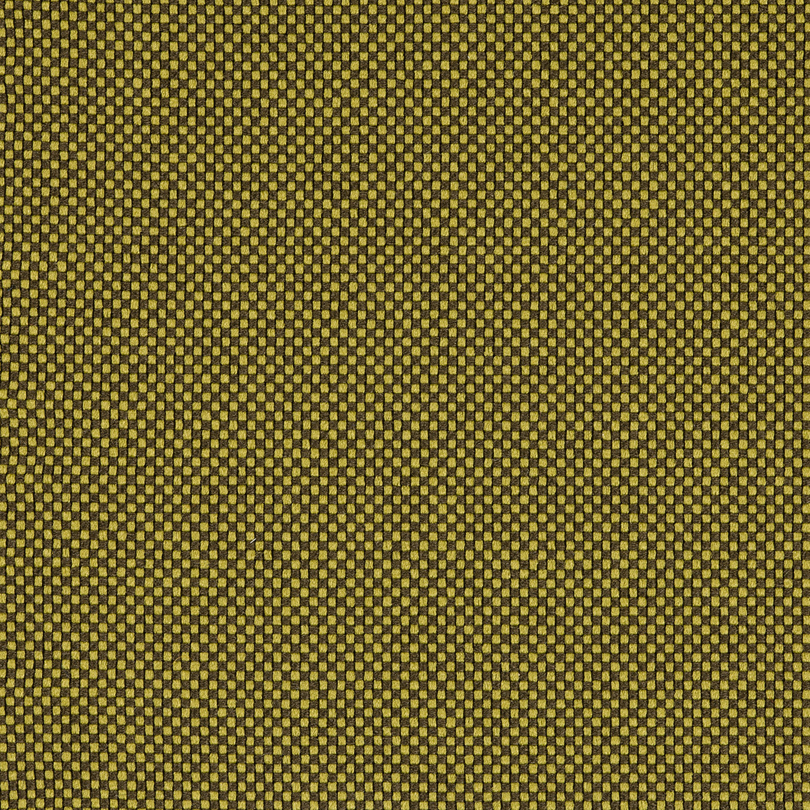 GoCheck_62071