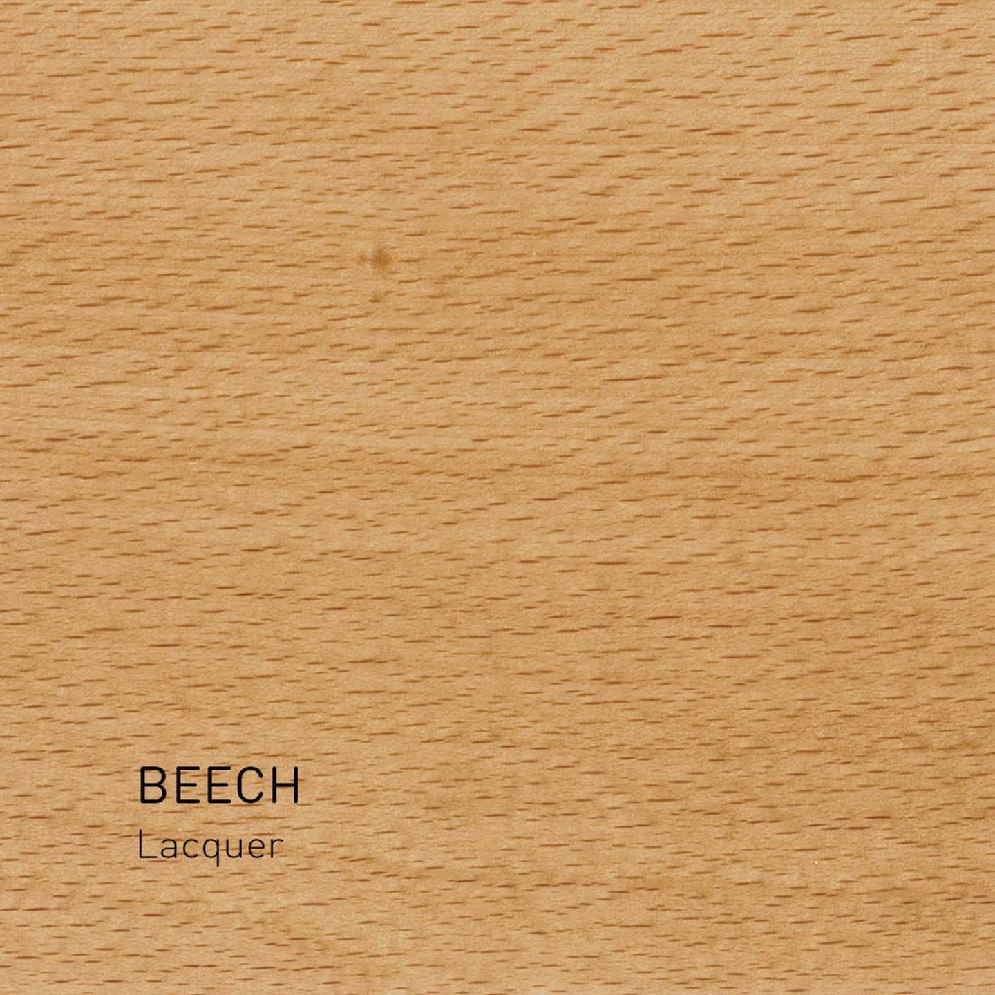 lacquered beech