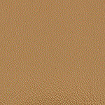 Elegance 222 Cinnemon