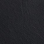 Anilina 21 Black