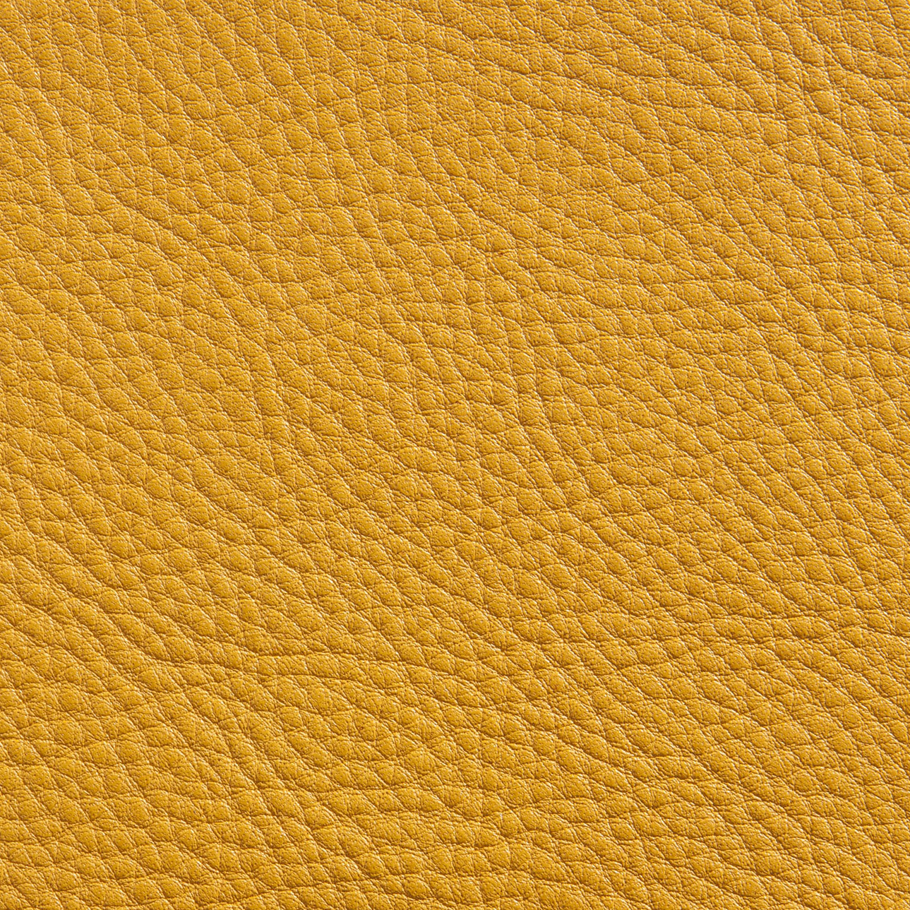 44007