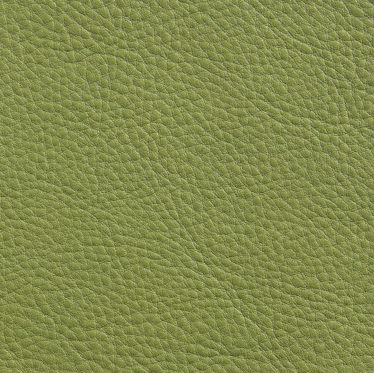08006