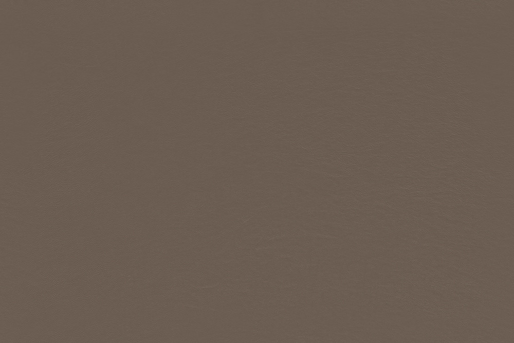 Raw Umber