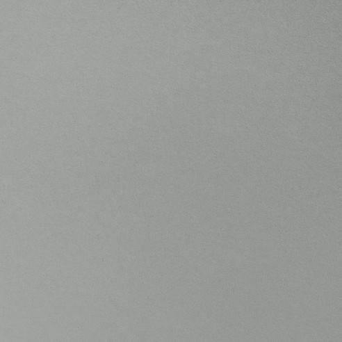 981587 Grey linoleum