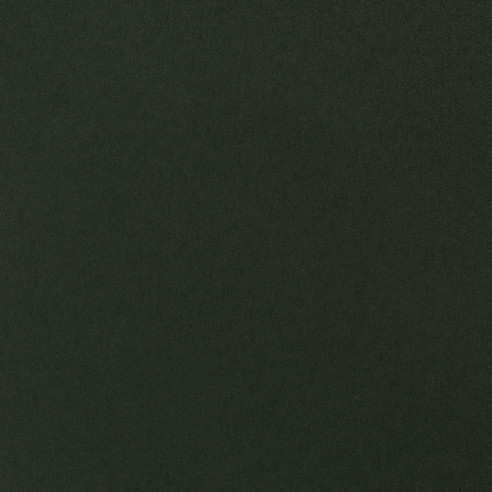 981583 Green linoleum