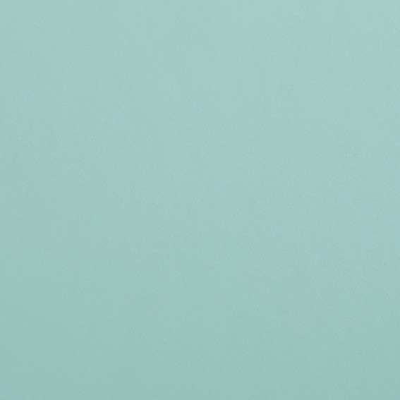981510 Aquavert linoleum