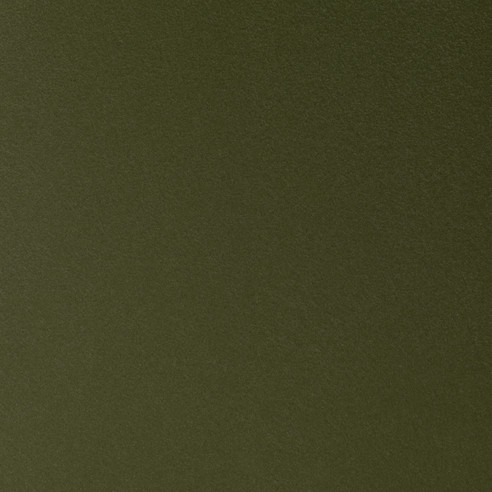 981827 Olive polypropylene