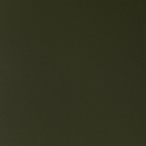 981957 Olive
