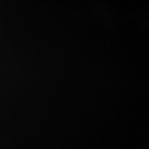981897 Black