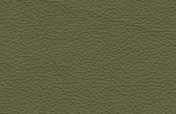 SI0441 - army  