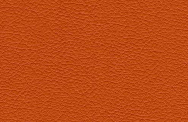 SI1100 - mandarin 