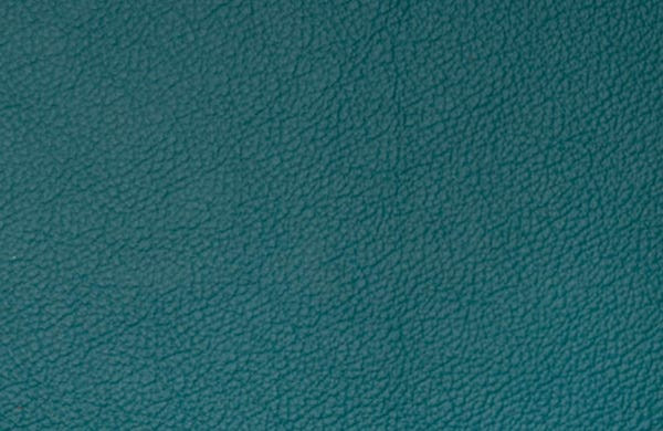 SI0336 - petrol