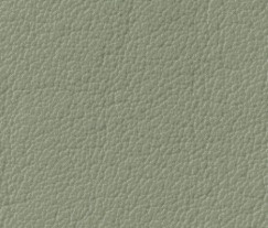 8211