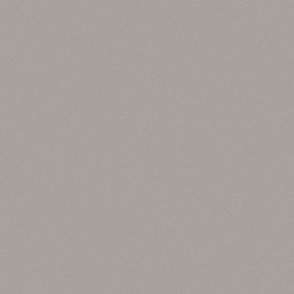 Oat-41568