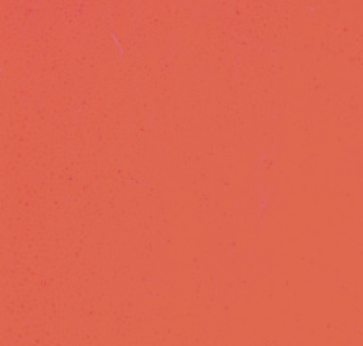 Nr. 7 Kandell red