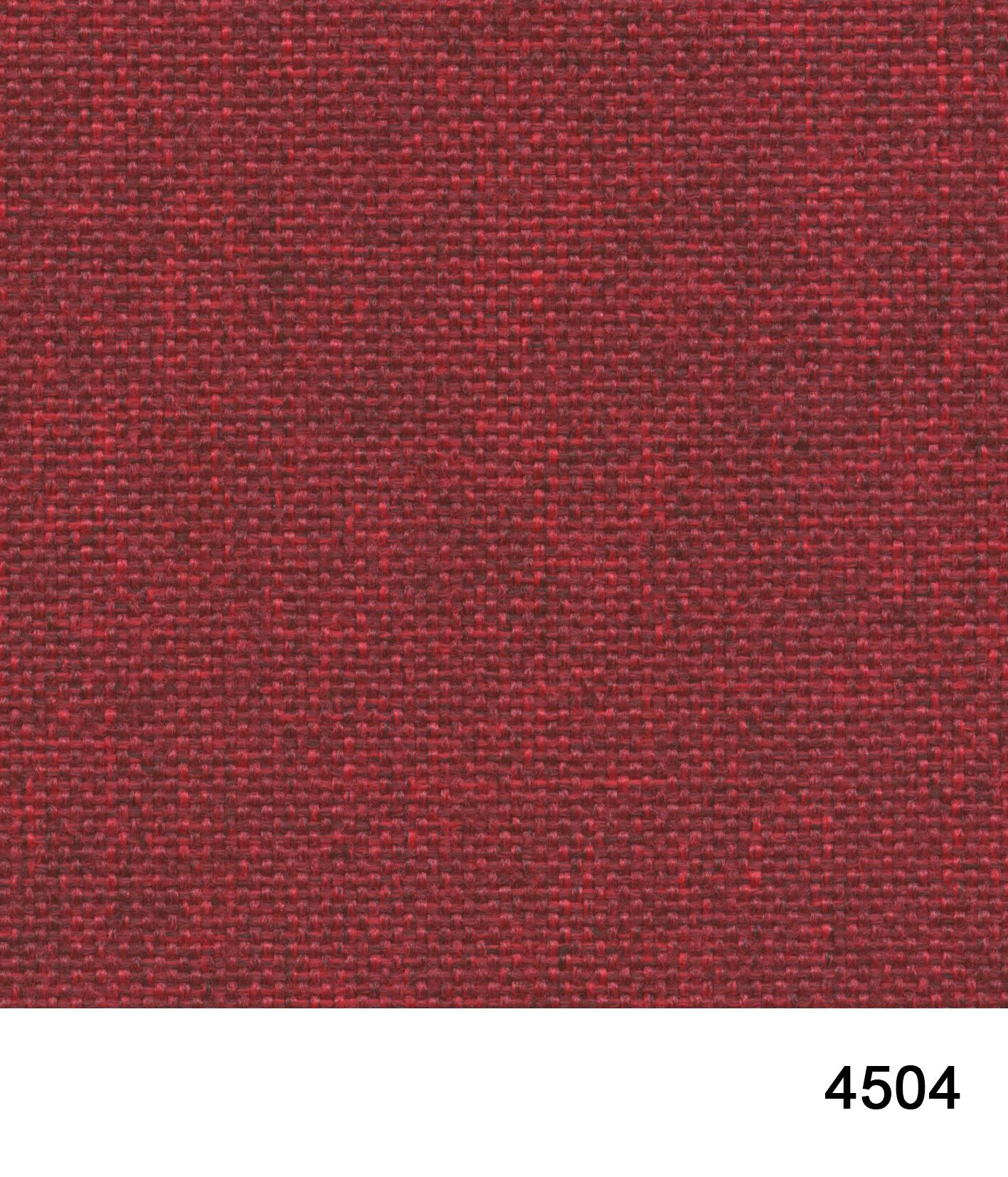 4504