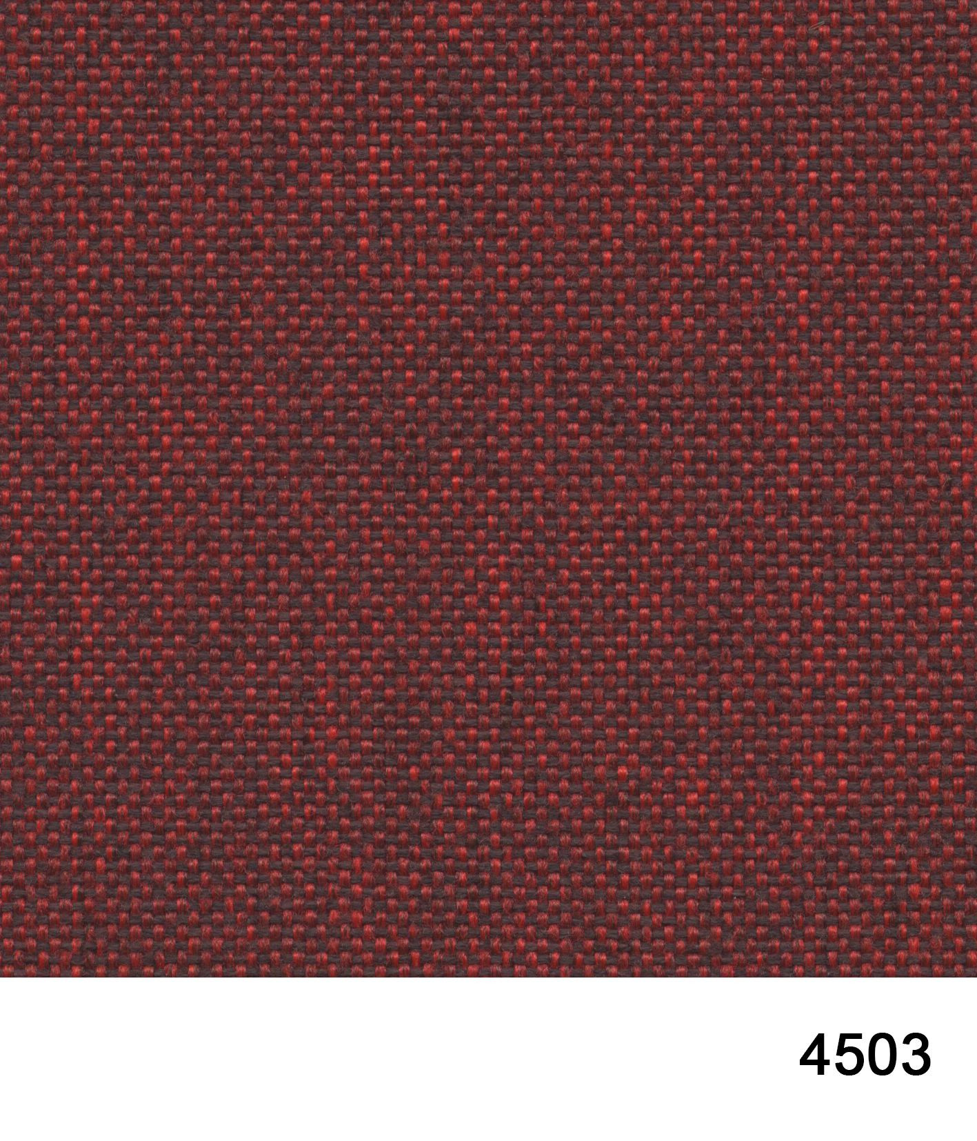 4503