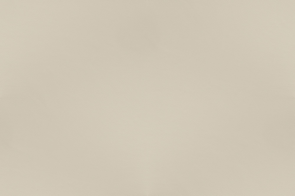Eggshell